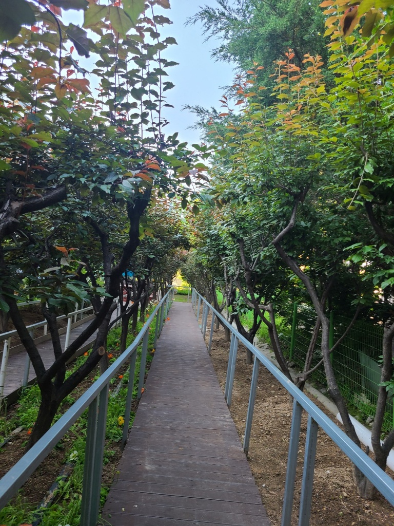 봄이온 외부전경