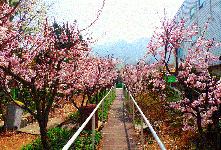 어르신들의 산책로