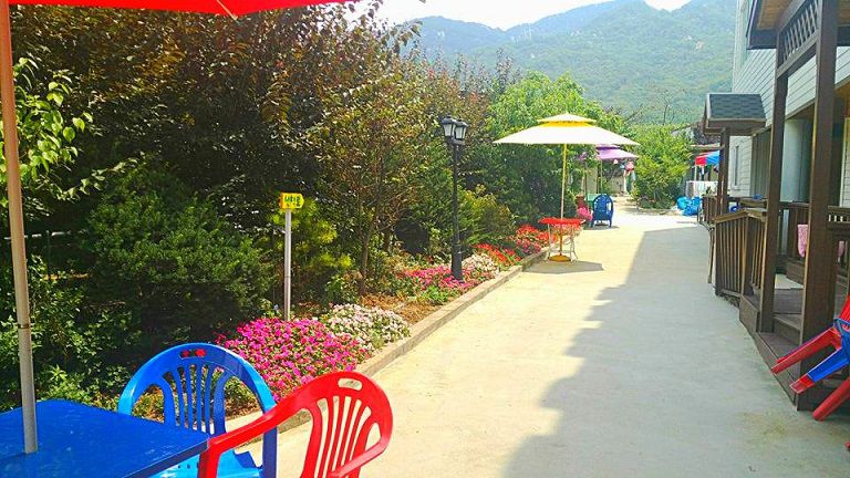 맑은 공기마시며 산책하자