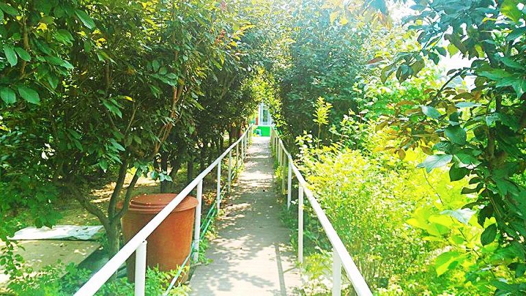 맑은 공기 마시며 산책하자