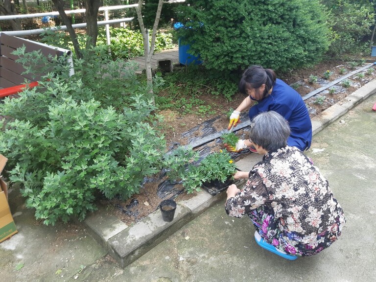 일상생활(꽃심기,미용봉사)