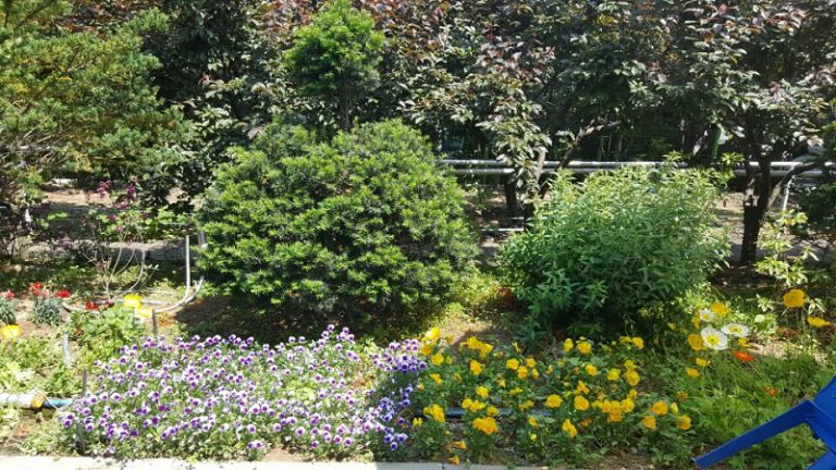 의정부행복한요양원의 산책로