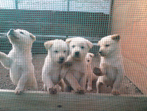 봄봄봄이왔어요